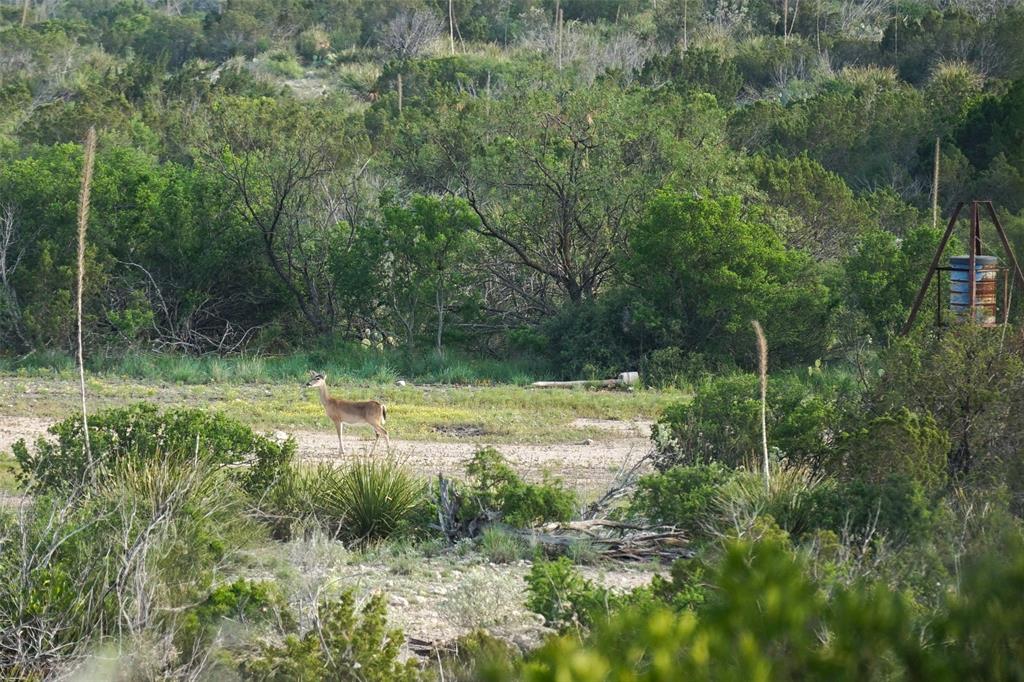 000 Rr 1024, Ozona, Texas image 31