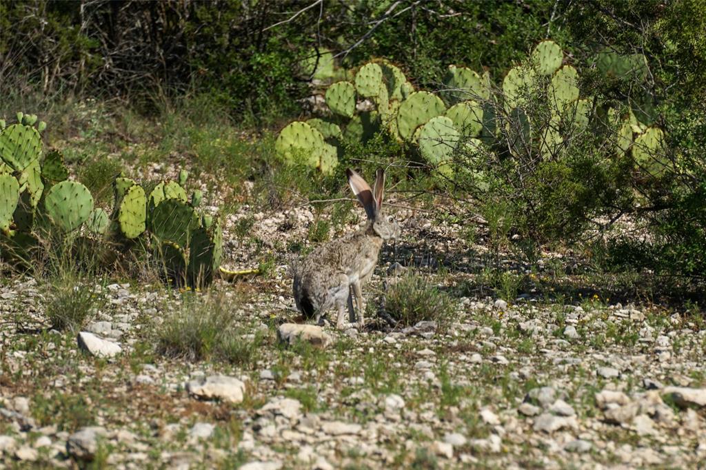 000 Rr 1024, Ozona, Texas image 32