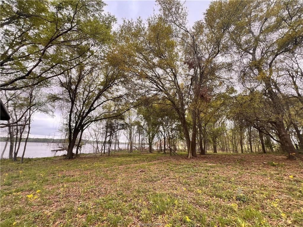 15 Acres Lcr 890, Jewett, Texas image 12