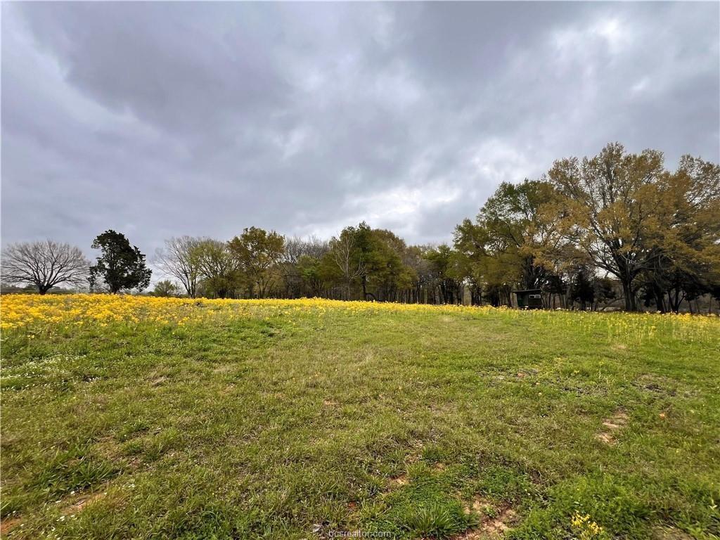 15 Acres Lcr 890, Jewett, Texas image 19