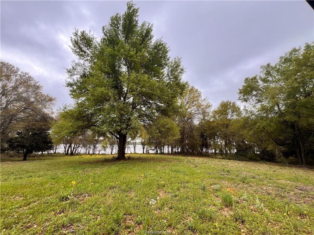 15 Acres Lcr 890, Jewett, Texas image 13