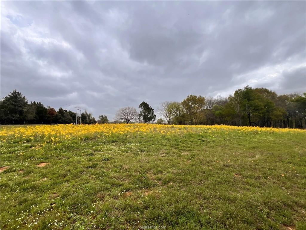 15 Acres Lcr 890, Jewett, Texas image 18