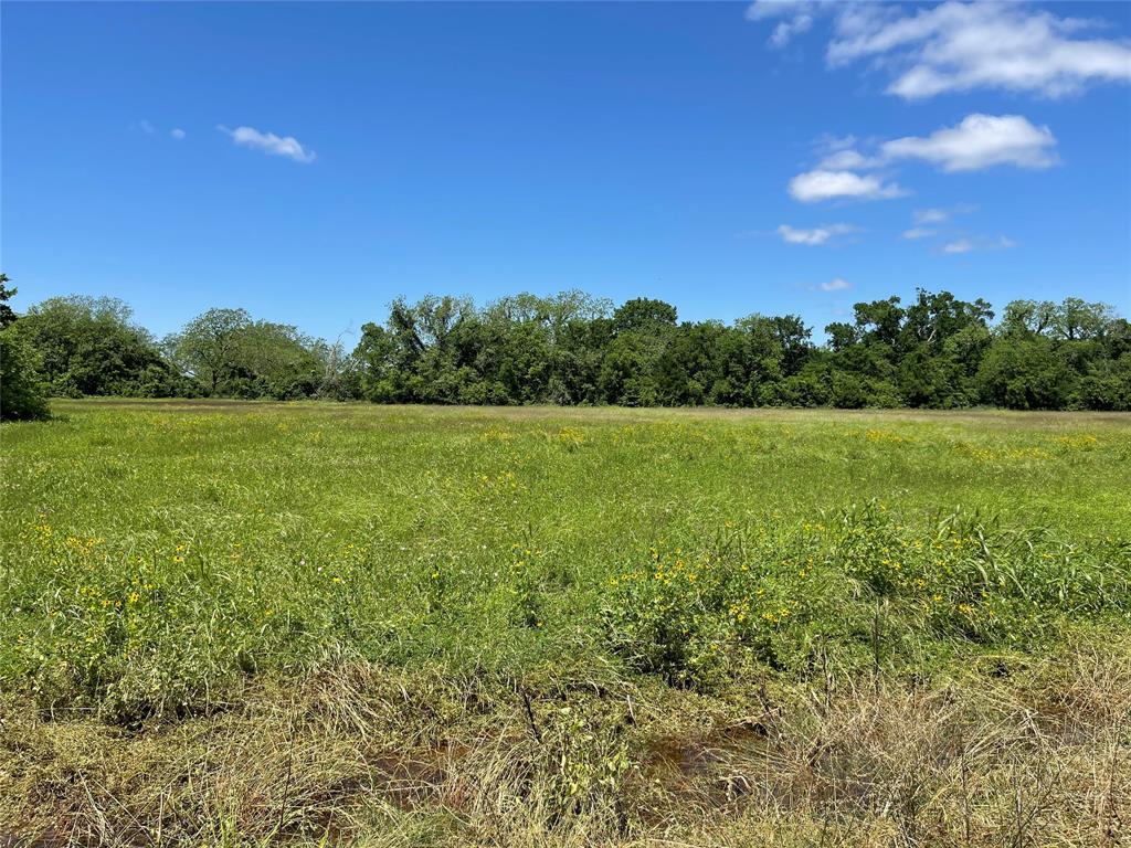 TBD County Road 245, Wharton, Texas image 1