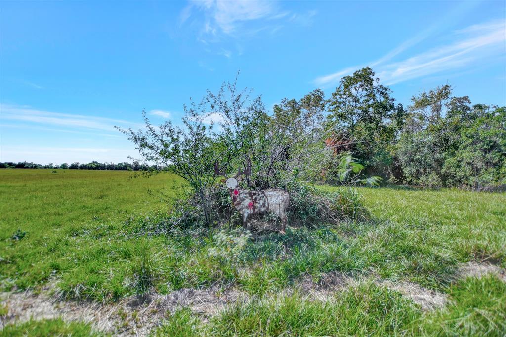 1451 Bernardo Road, Cat Spring, Texas image 11