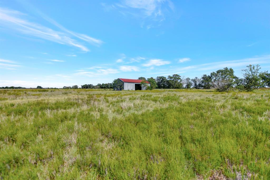 1451 Bernardo Road, Cat Spring, Texas image 13