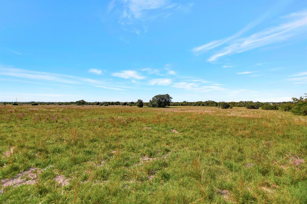 1451 Bernardo Road, Cat Spring, Texas image 8