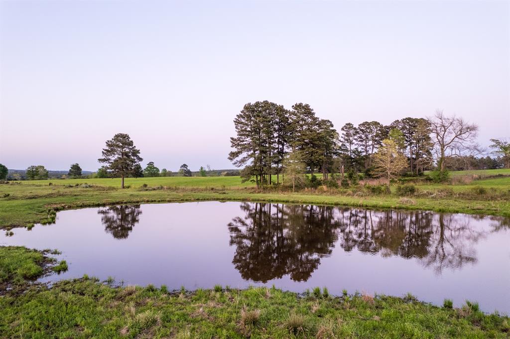 11164 County Road 1617, Avinger, Texas image 2