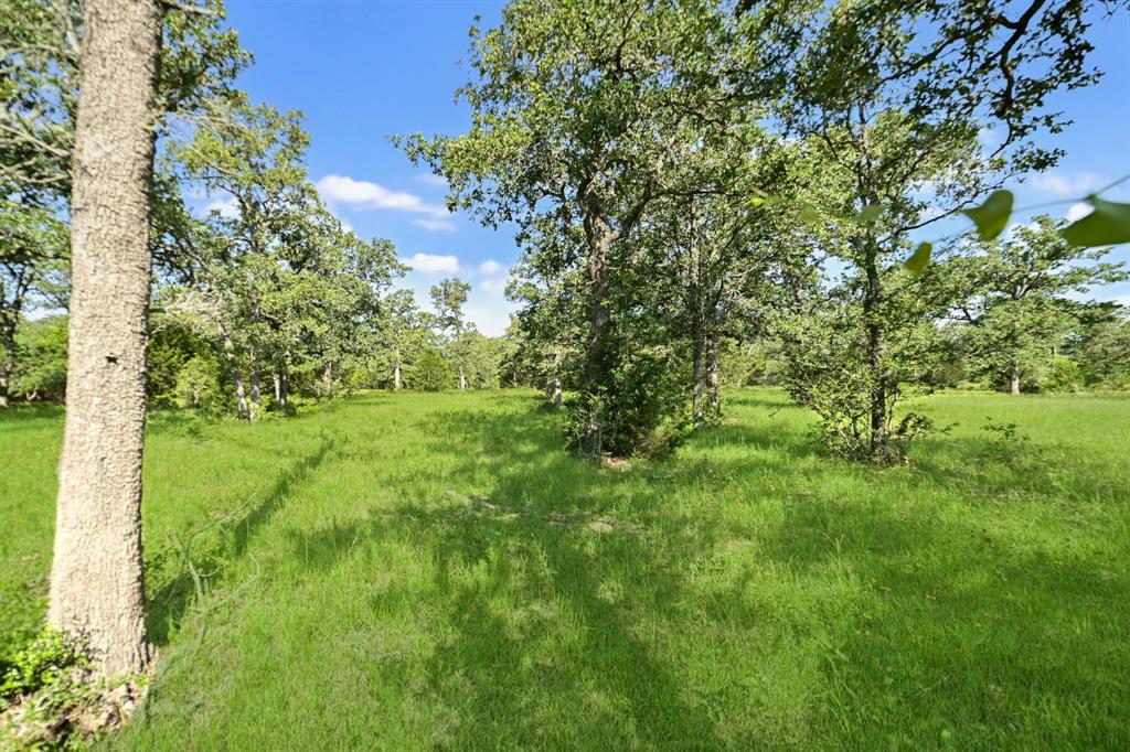 1301 County Road 2103, Weimar, Texas image 25