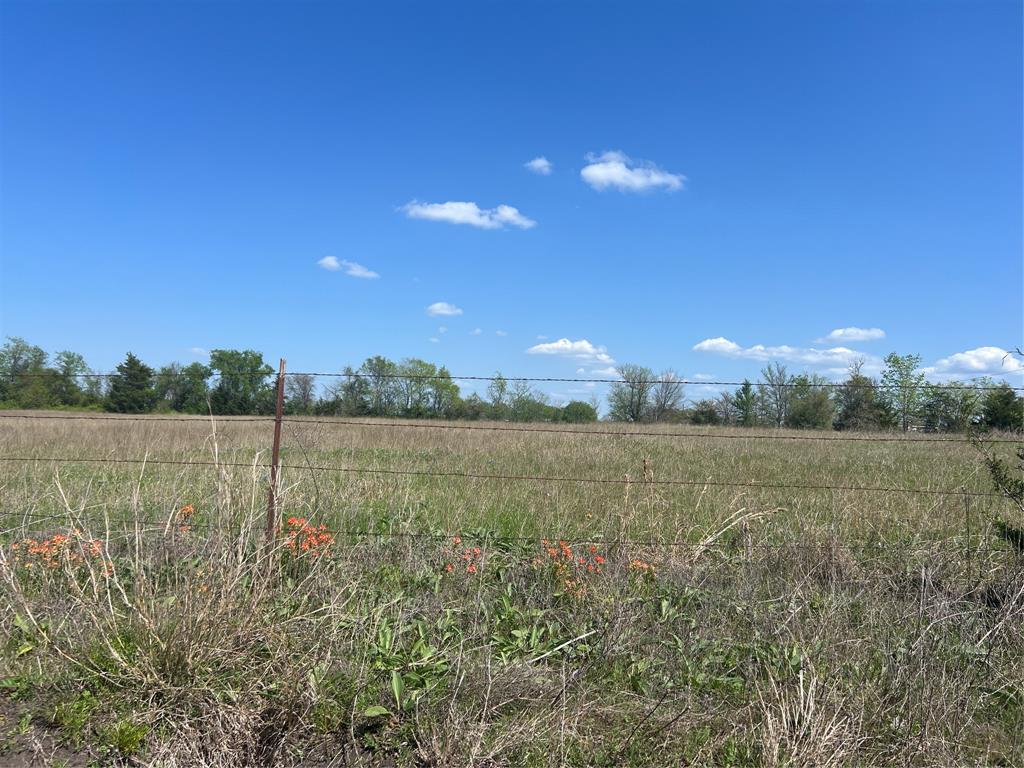 Lot #6 Fm 2562 Road, Anderson, Texas image 4