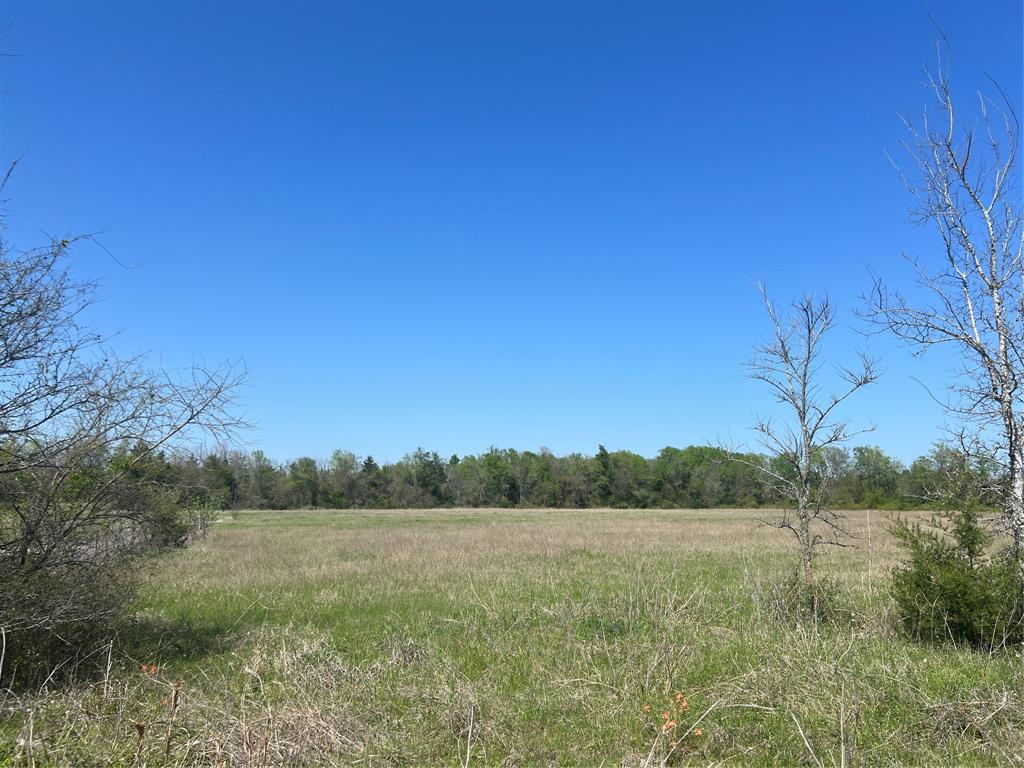 Lot #6 Fm 2562 Road, Anderson, Texas image 6