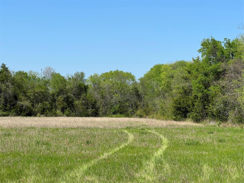 Lot #6 Fm 2562 Road, Anderson, Texas image 3
