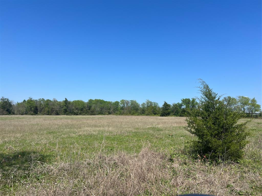 Lot #6 Fm 2562 Road, Anderson, Texas image 5