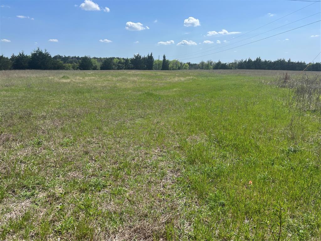 Lot #6 Fm 2562 Road, Anderson, Texas image 1