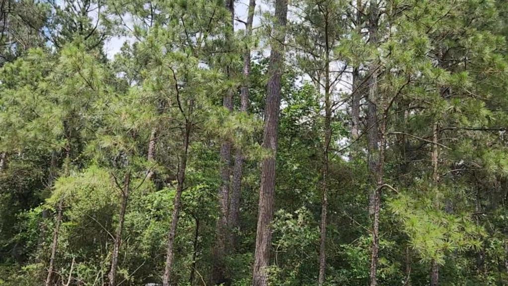 Lot 22 Scarlet Oak Drive