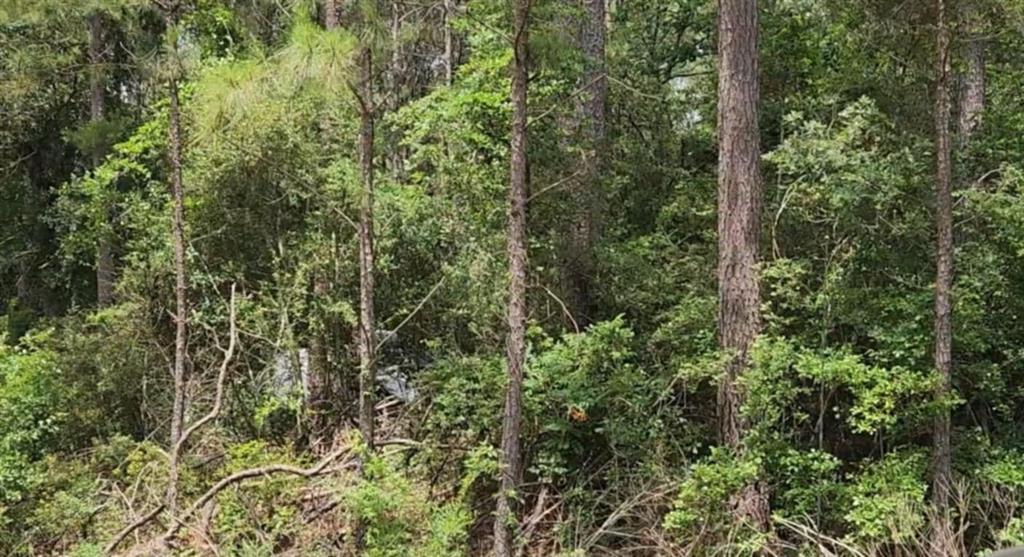 Lot 22 Scarlet Oak Drive