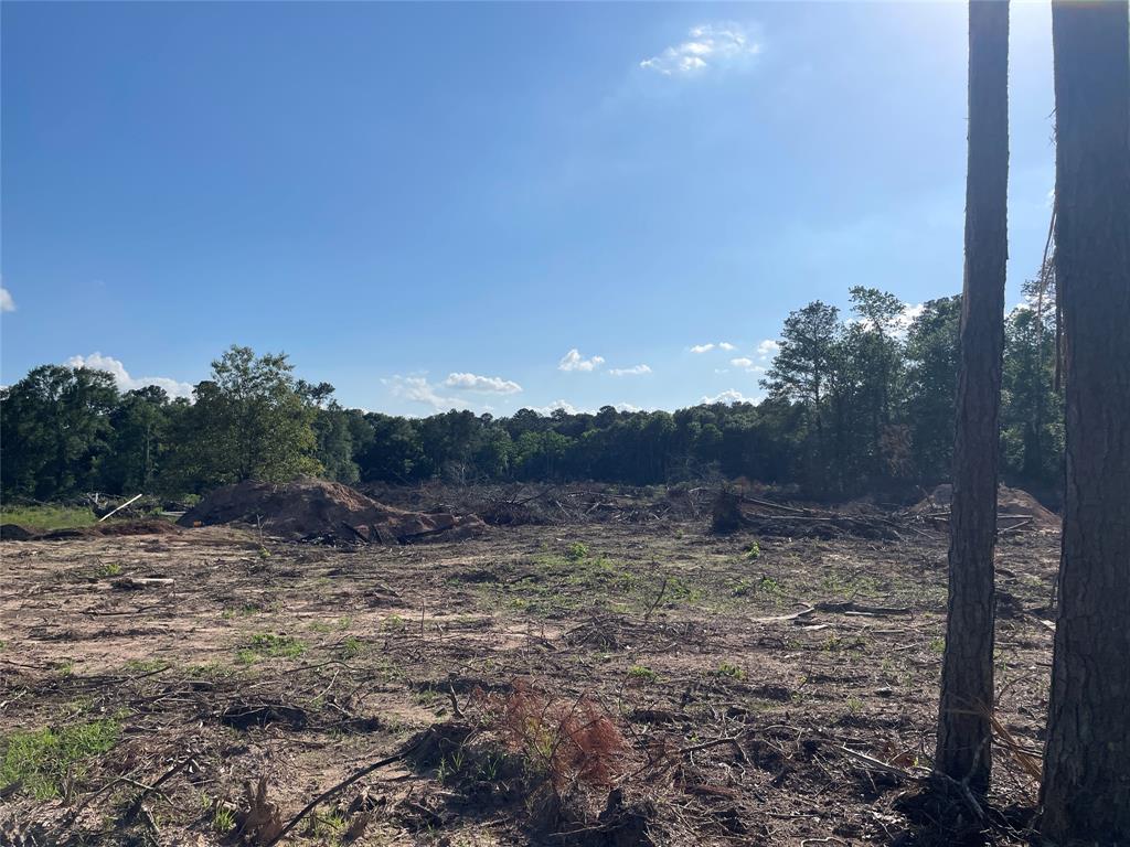 5370 Old Hwy 105 W, Conroe, Texas image 6