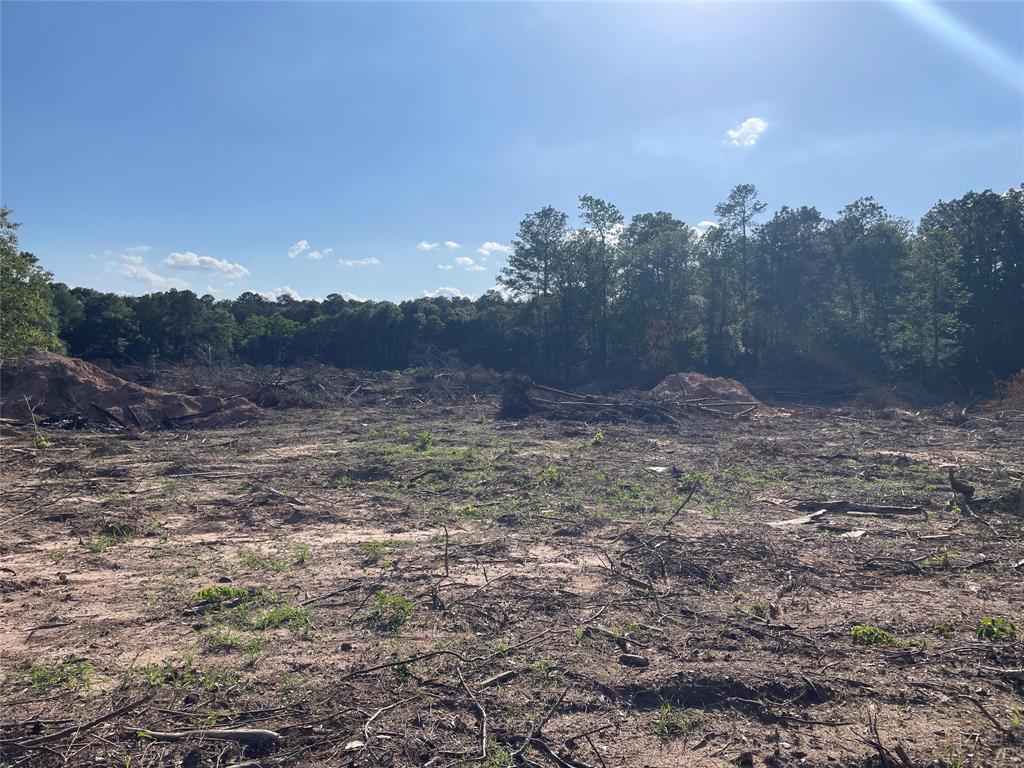 5370 Old Hwy 105 W, Conroe, Texas image 7