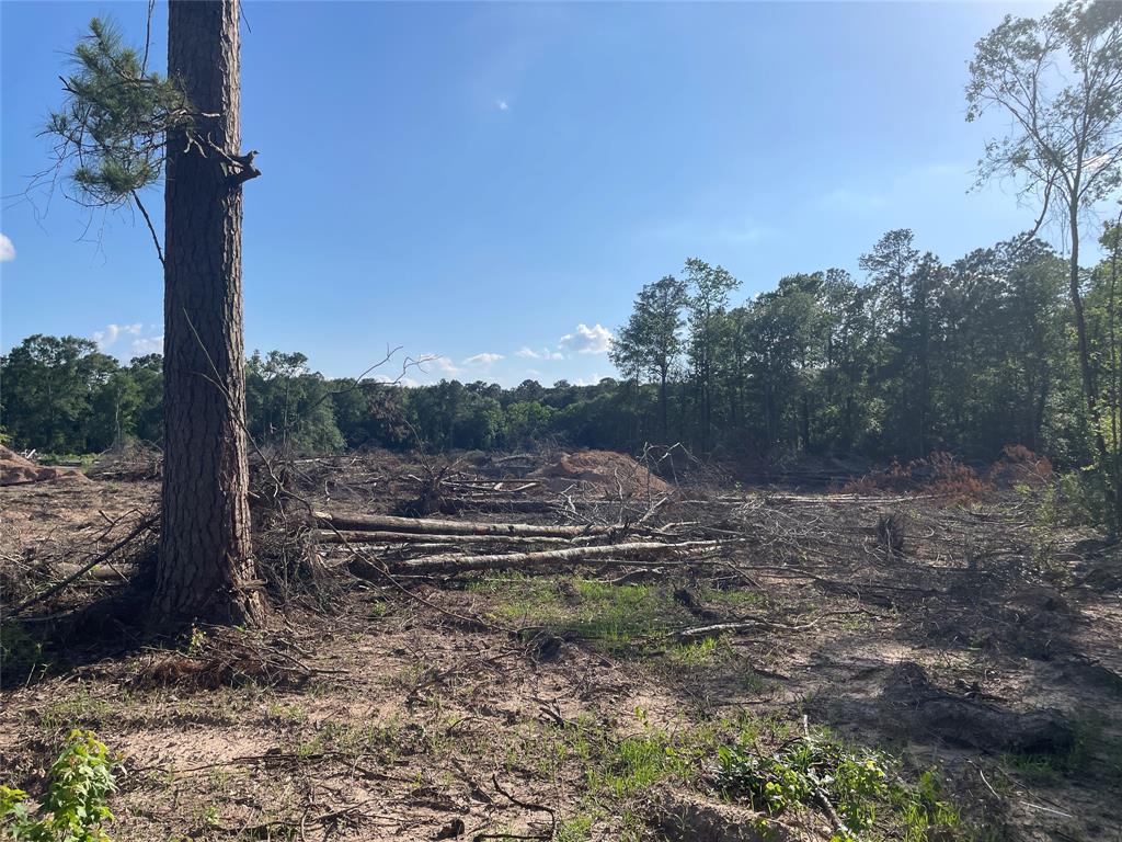 5370 Old Hwy 105 W