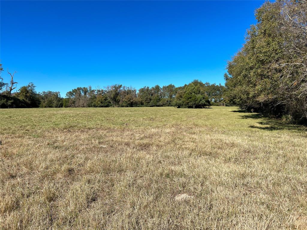 12903 Fm-1512, Jewett, Texas image 16