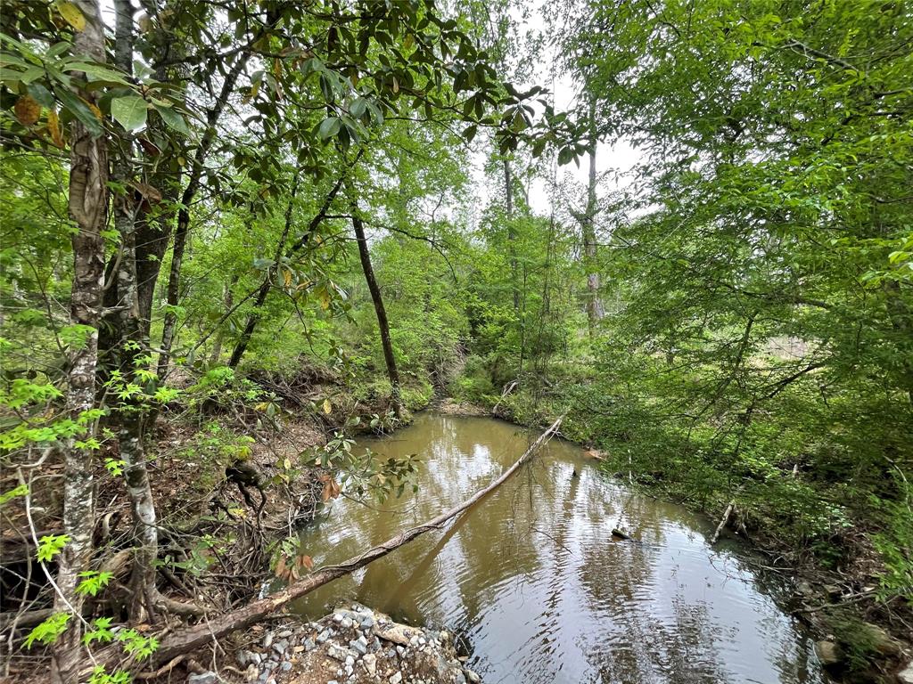 TBD Lake Road, Coldspring, Texas image 6