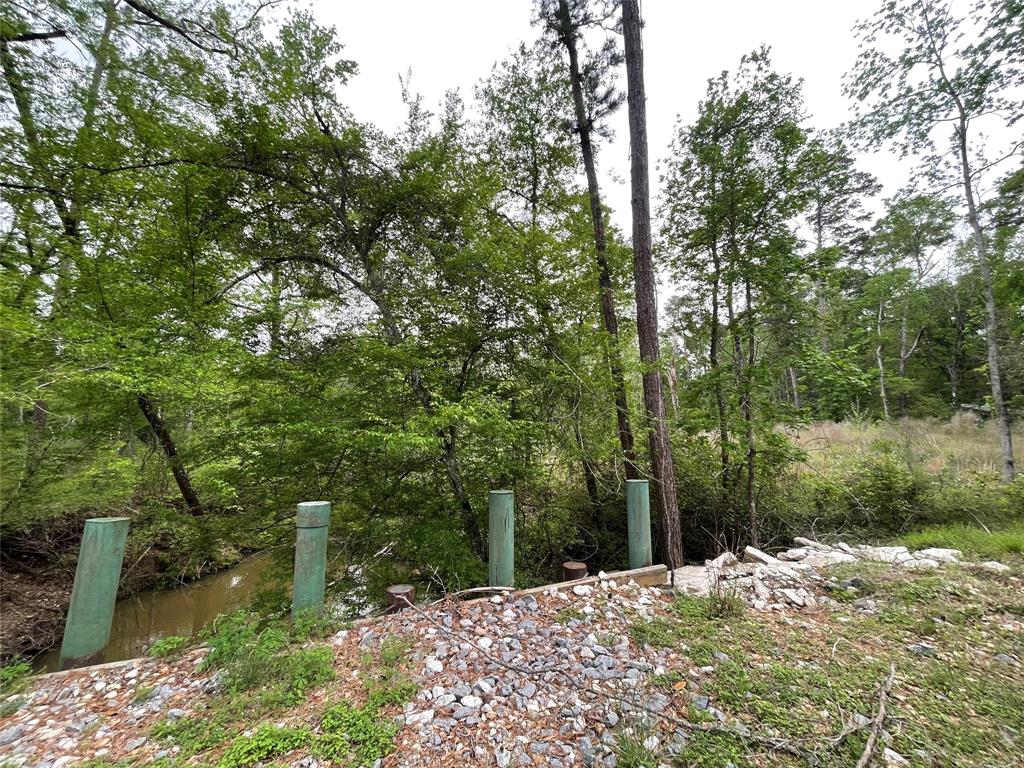 TBD Lake Road, Coldspring, Texas image 5