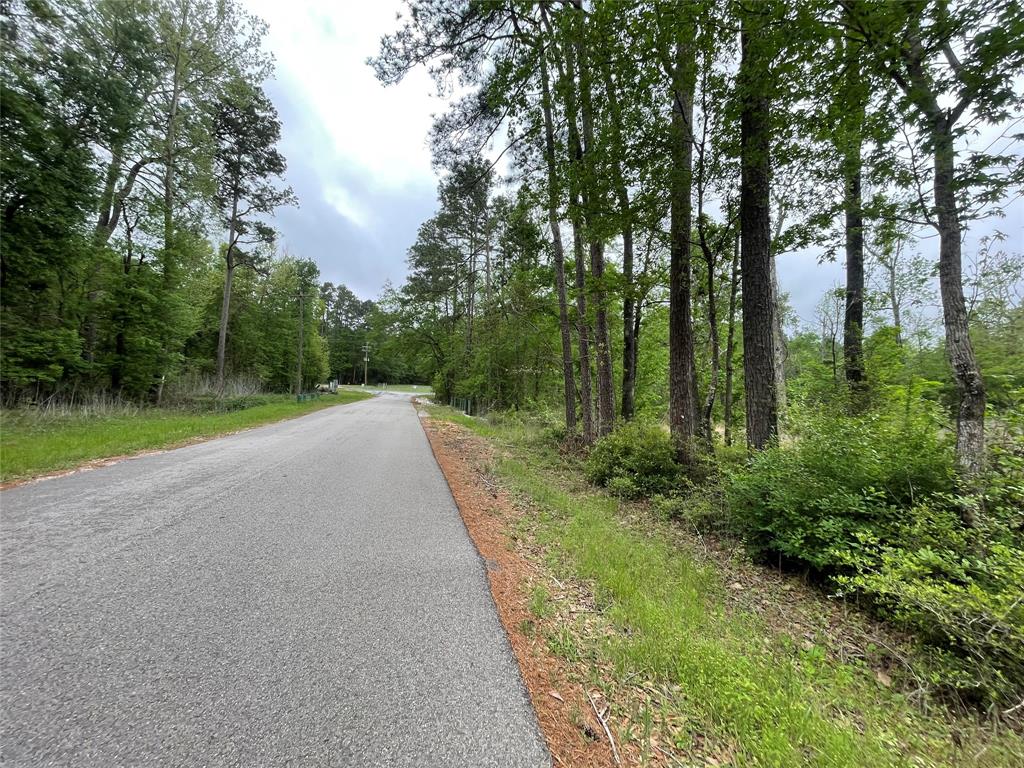 TBD Lake Road, Coldspring, Texas image 11