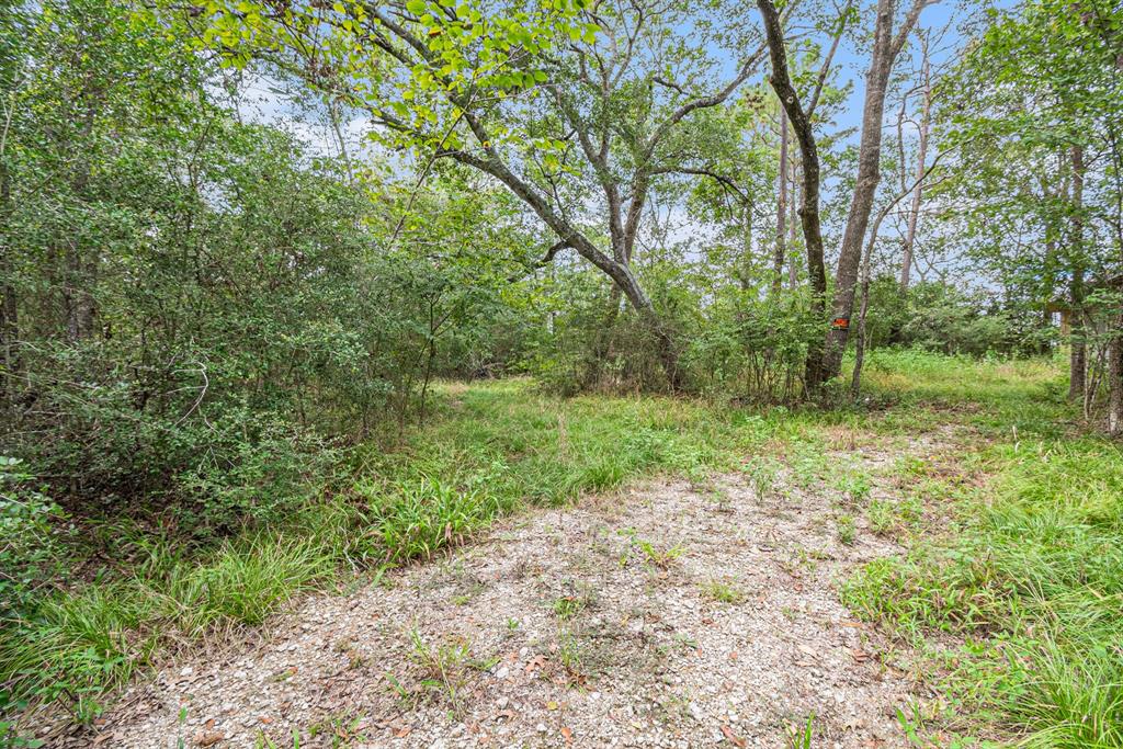 153 Pvt 1671, Hallettsville, Texas image 8