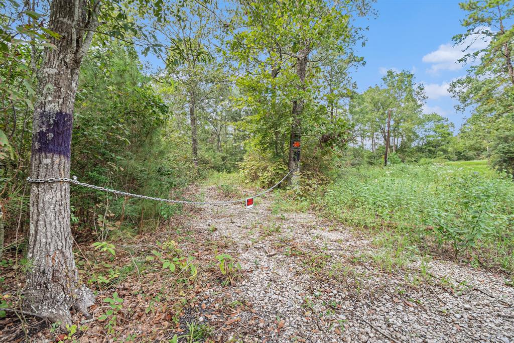 153 Pvt 1671, Hallettsville, Texas image 13