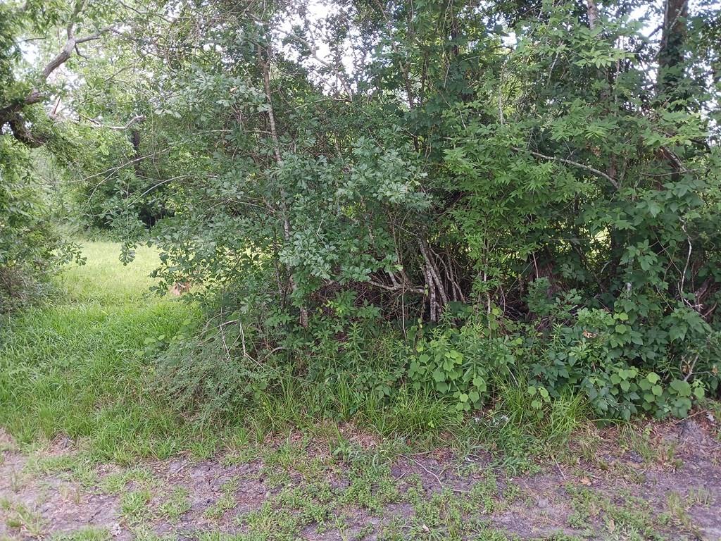 00 Cahill, Angleton, Texas image 2