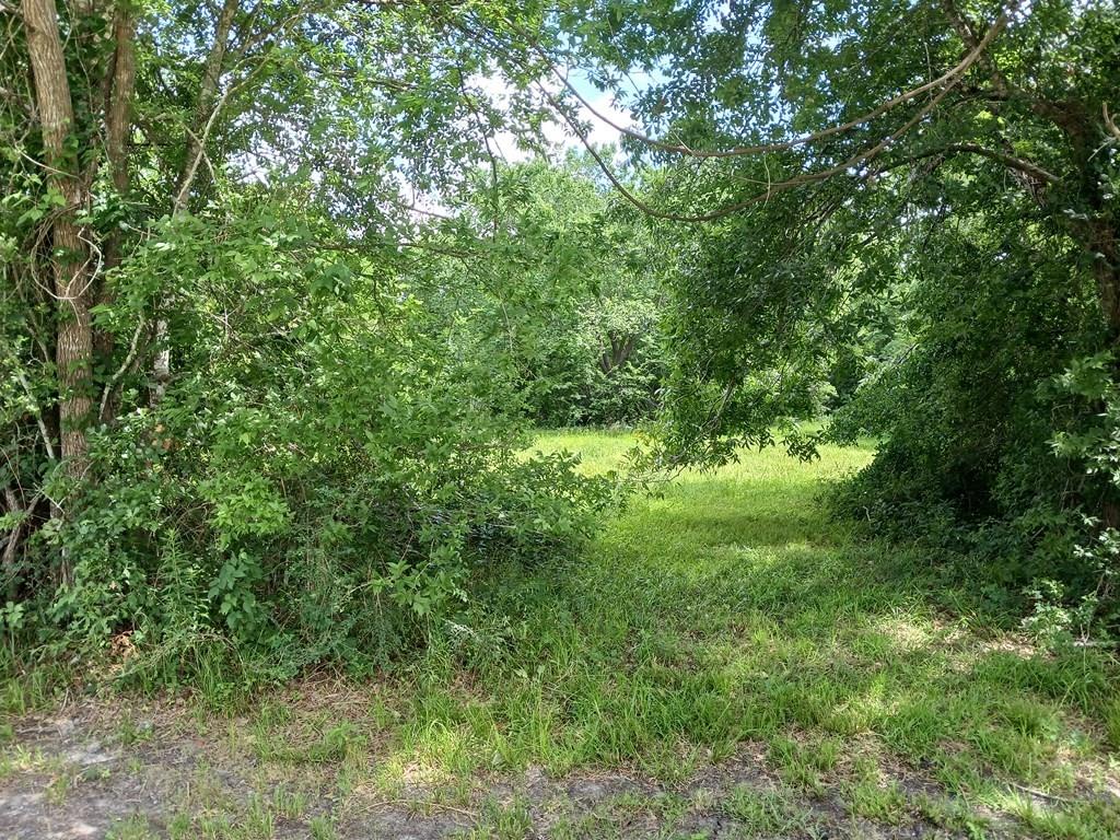 00 Cahill, Angleton, Texas image 4