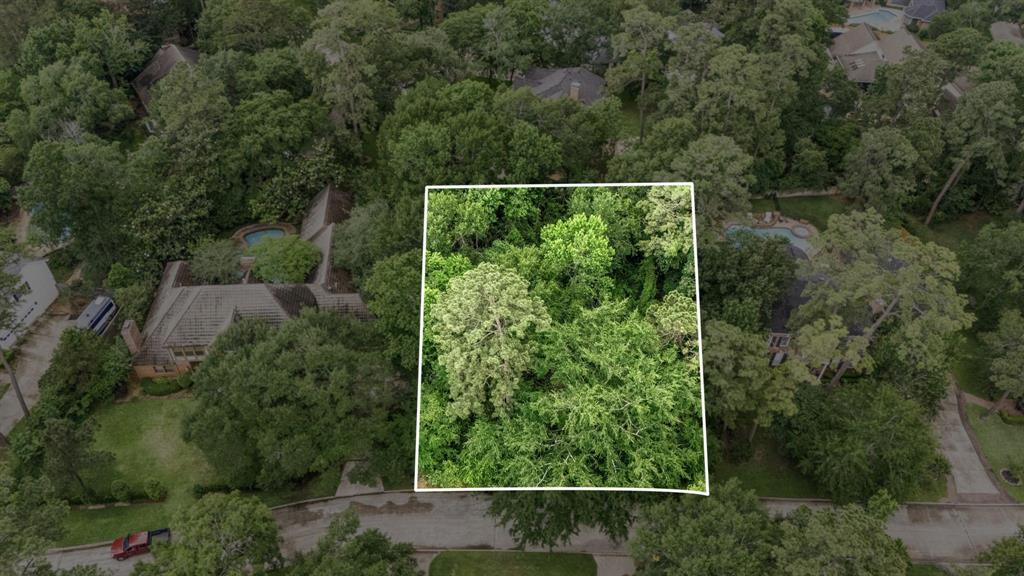35 N Brokenfern Drive, Spring, Texas image 4