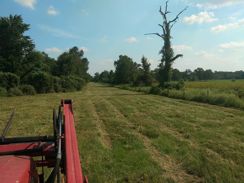 Tbd Qualls Road, Hempstead, Texas image 6