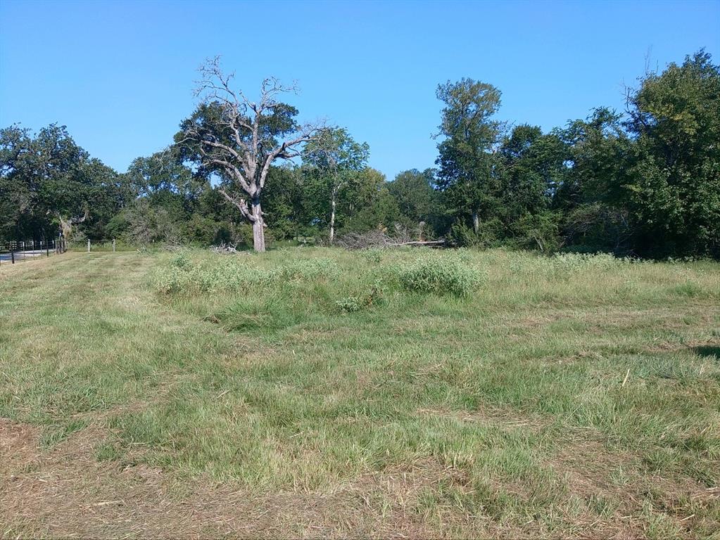 Tbd Qualls Road, Hempstead, Texas image 2