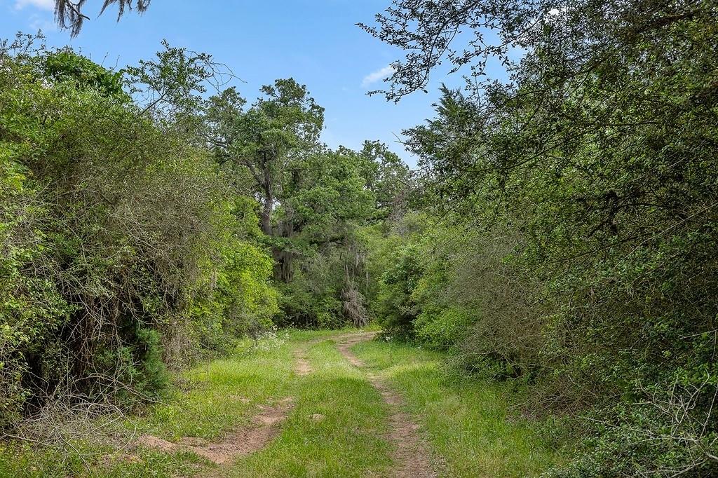 TBD Deer Hollow Rd