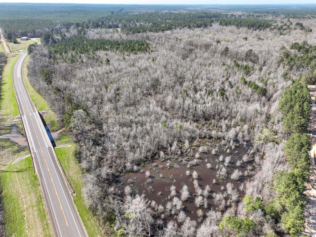 TBD Us Hwy 190, Newton, Texas image 16
