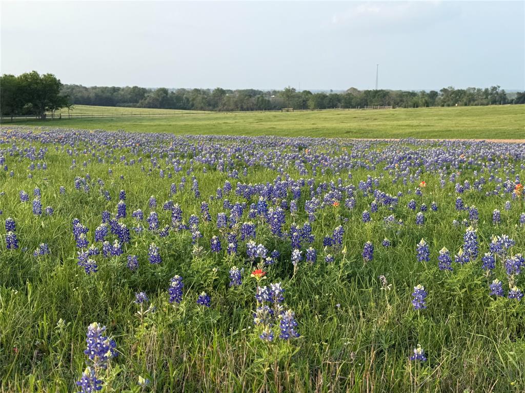 7734 Krueger Road Rd, Bleiblerville, Texas image 5