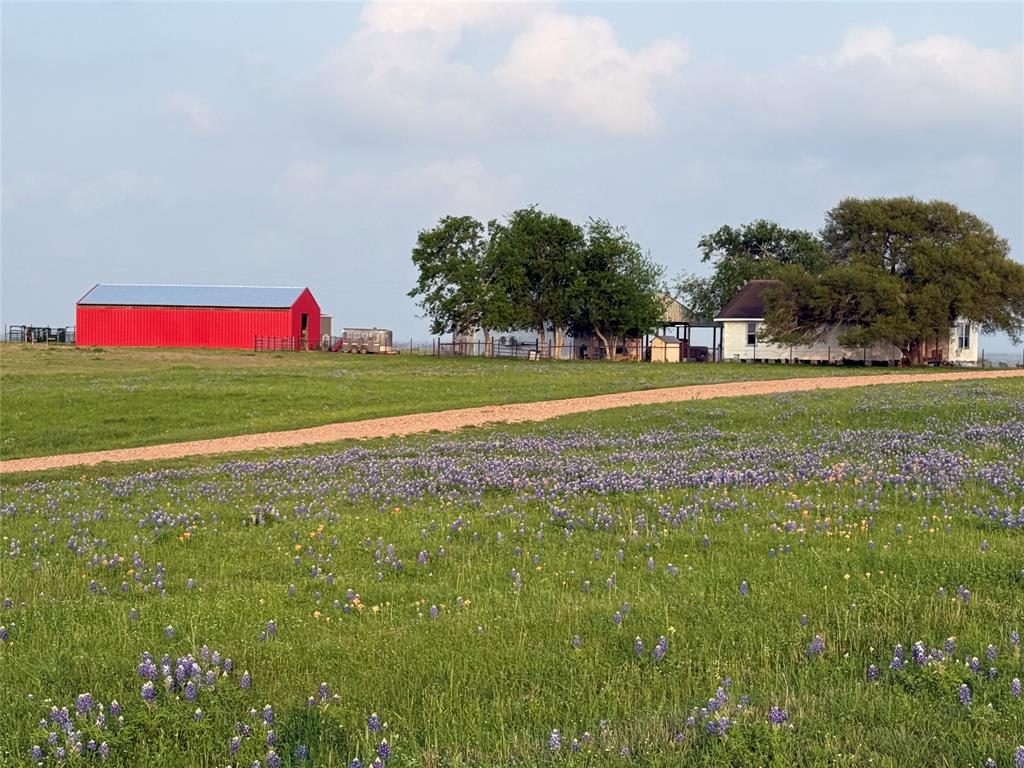 7734 Krueger Road Rd, Bleiblerville, Texas image 1
