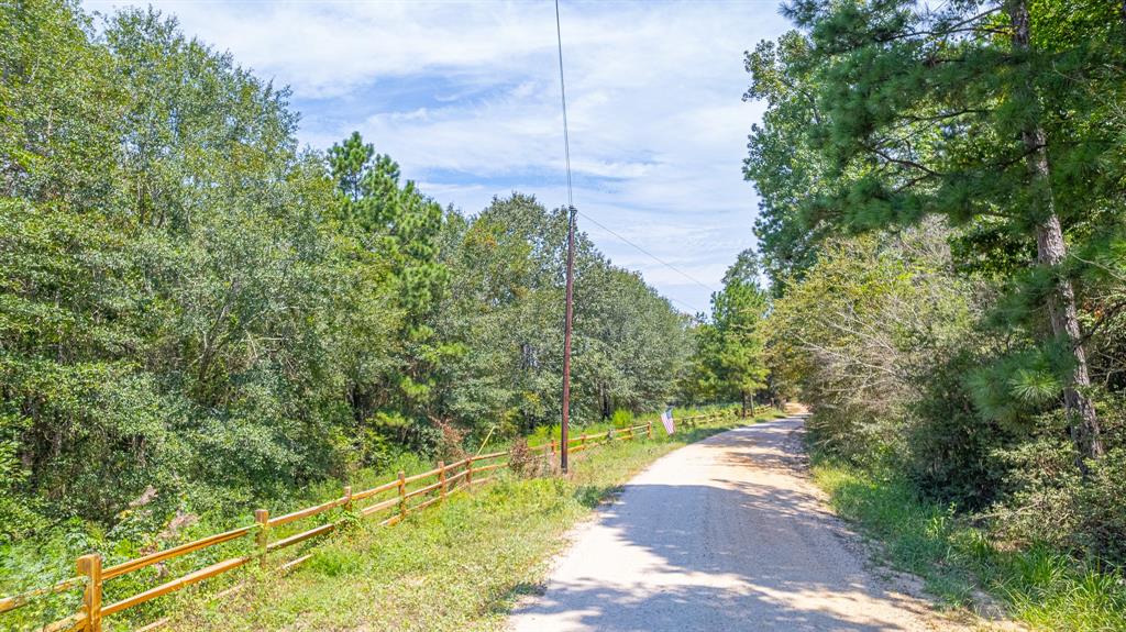 Hickory Hill Road, Cleveland, Texas image 4