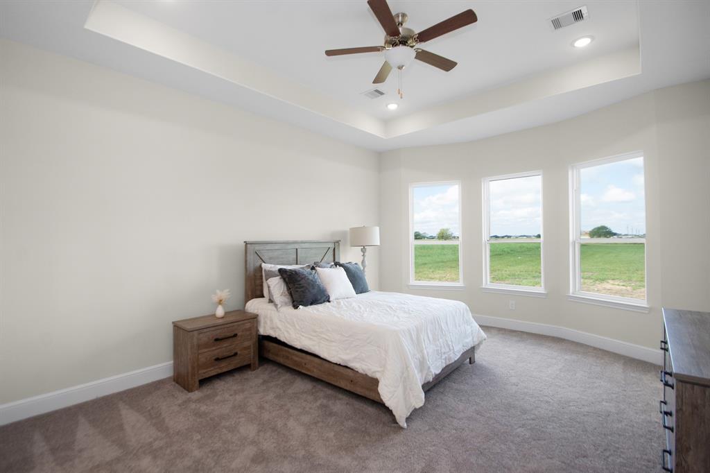 260 Brahman Trail, Angleton, Texas image 21