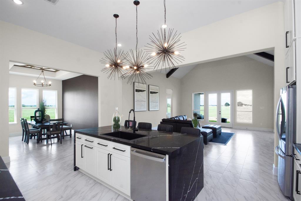 260 Brahman Trail, Angleton, Texas image 13