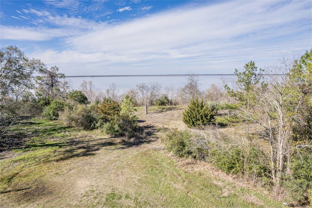 Fahring Street, Anahuac, Texas image 3