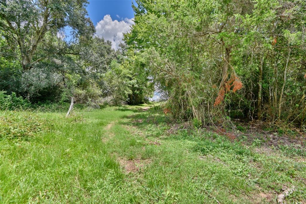 000 Trackside Road, Chappell Hill, Texas image 7