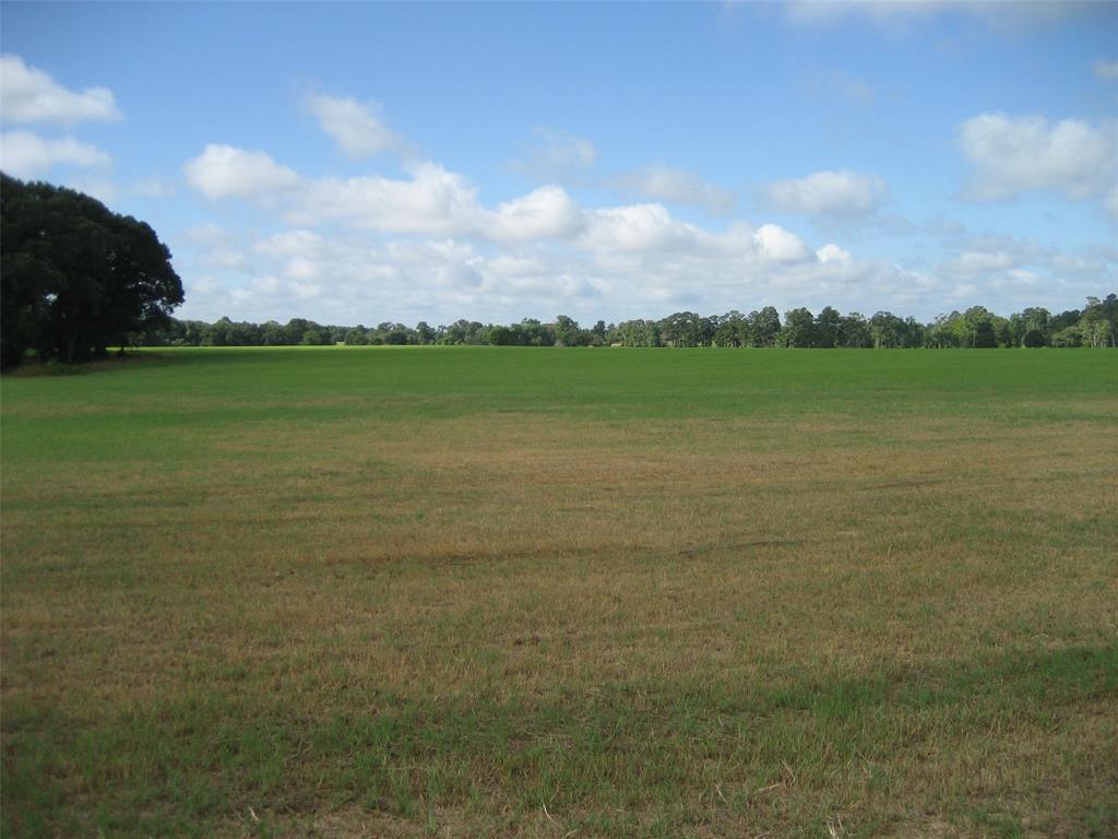 00 Cr 1890, Grapeland, Texas image 3