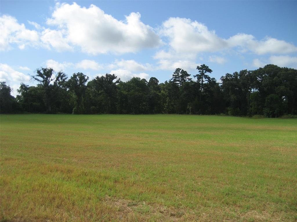 00 Cr 1890, Grapeland, Texas image 1