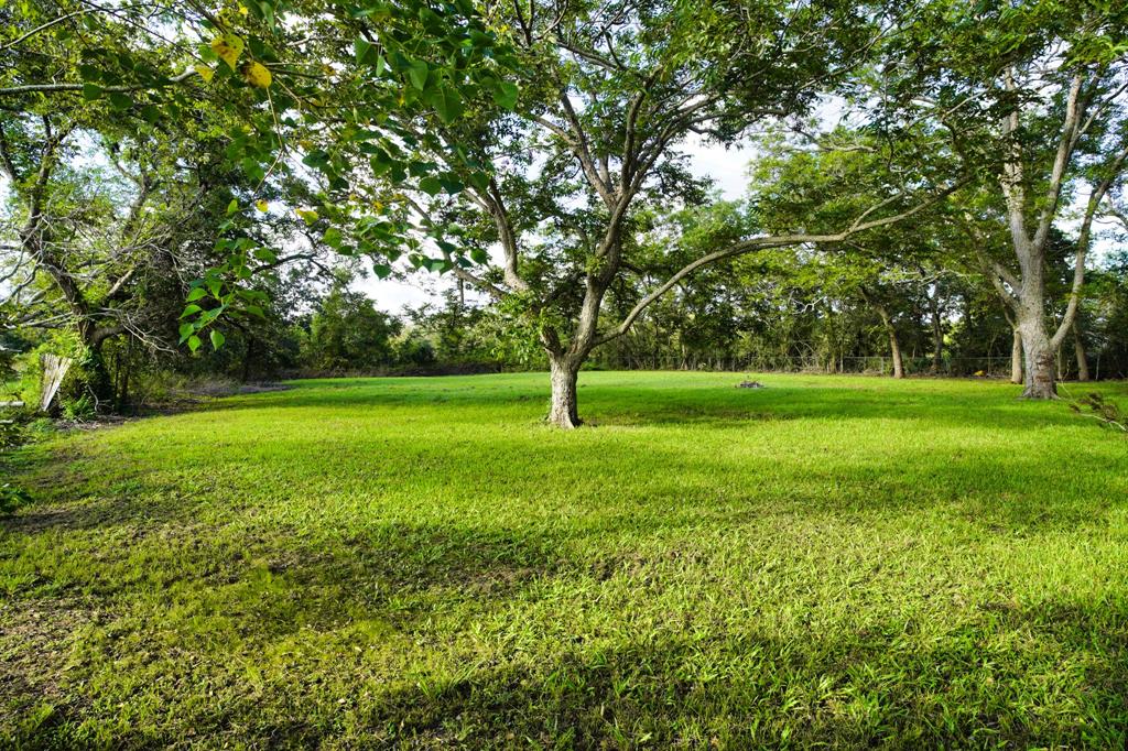 1203 County Road 677, Brazoria, Texas image 9