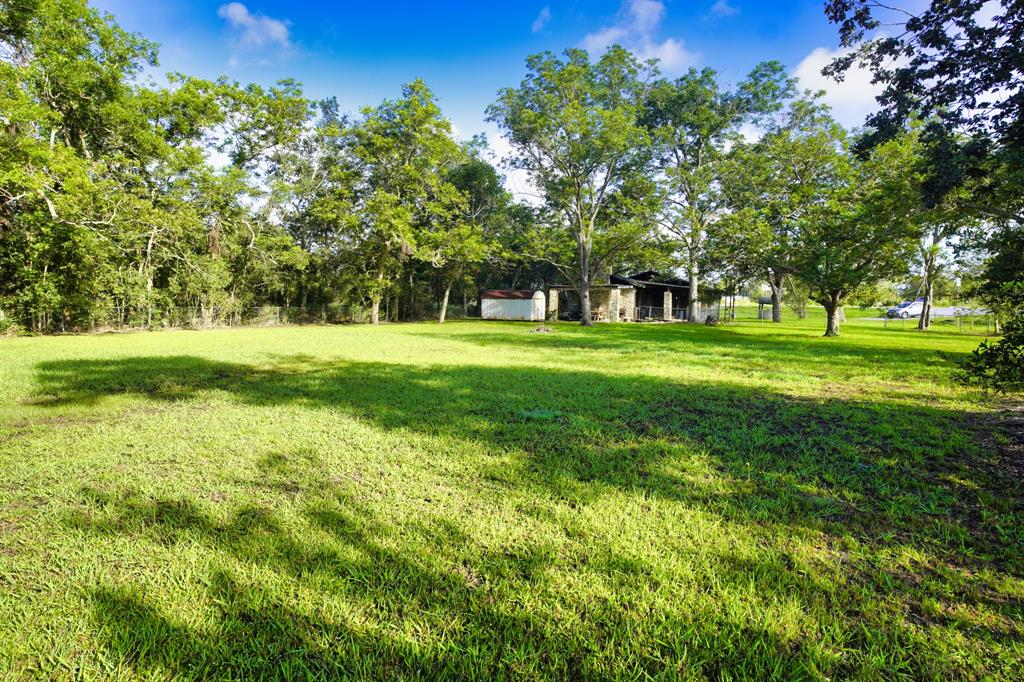 1203 County Road 677, Brazoria, Texas image 7