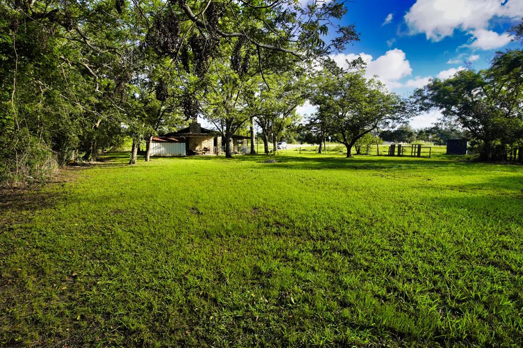 1203 County Road 677, Brazoria, Texas image 4