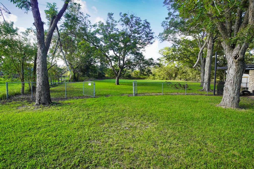 1203 County Road 677, Brazoria, Texas image 2