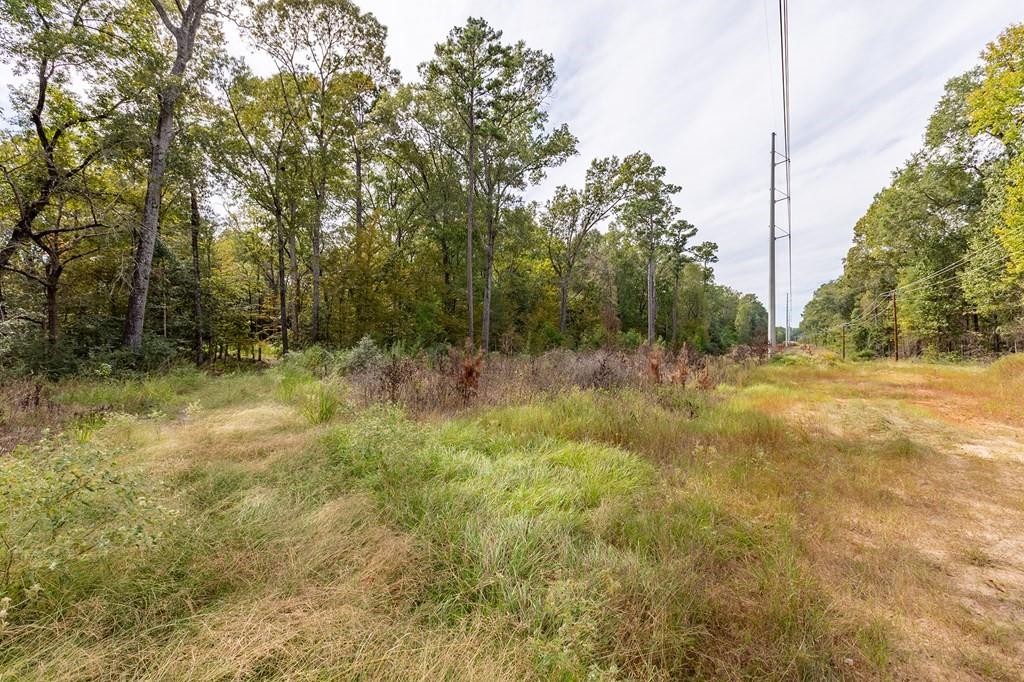 R33234 Platt Road, Lufkin, Texas image 6