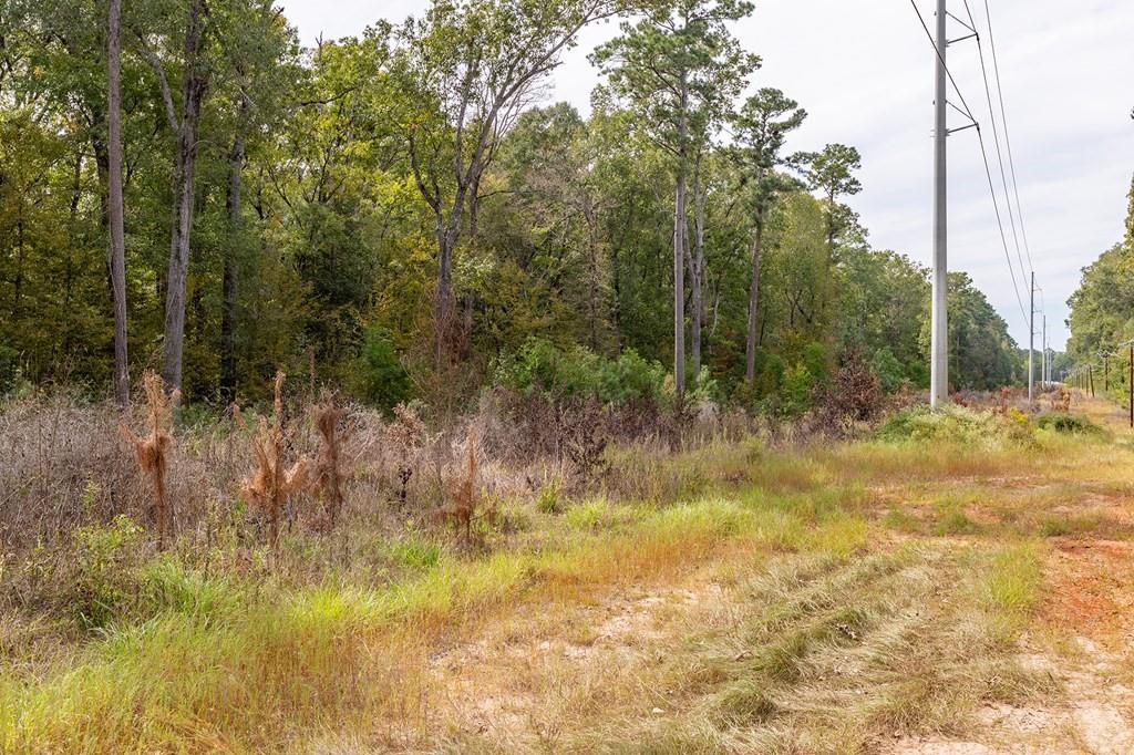 R33234 Platt Road, Lufkin, Texas image 9